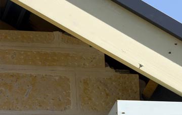 soffit repair Lower Sheering